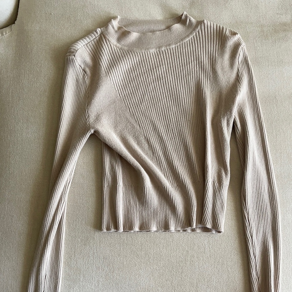 Turtle Neck Crop